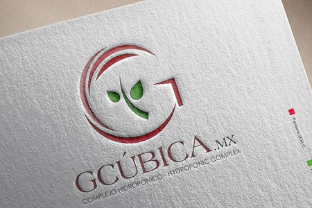 logo and graphic design